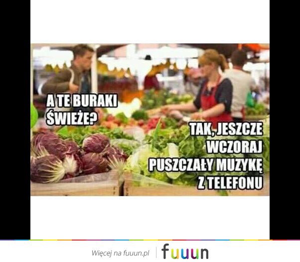 Suchar codzienny #581