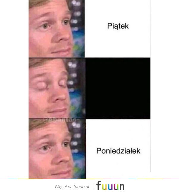 Suchar codzienny #1429