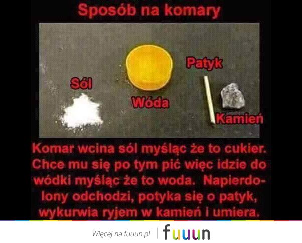 Sposób na komary!
