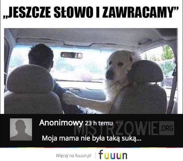Mistrzowie #1489