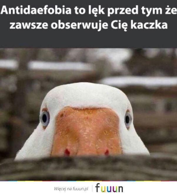 Suchar codzienny #1375