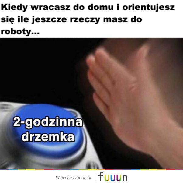 Suchar codzienny #519