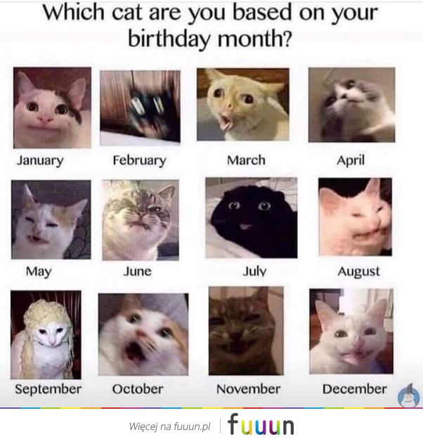 Suchar codzienny #1175