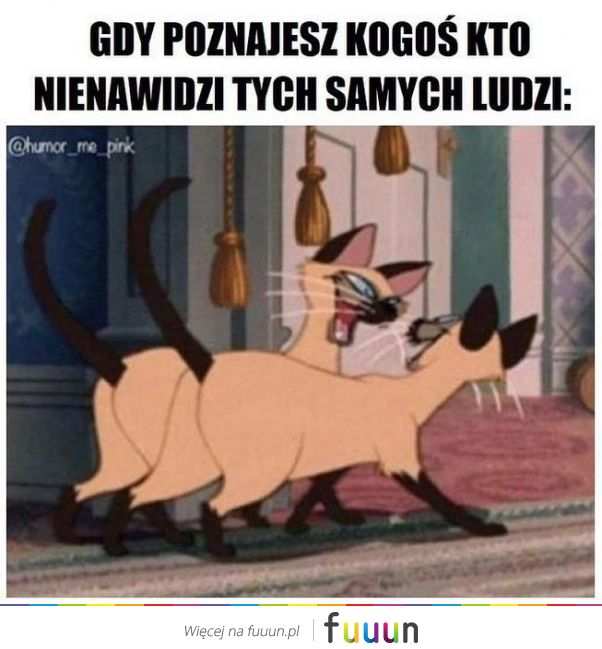 Suchar codzienny #625
