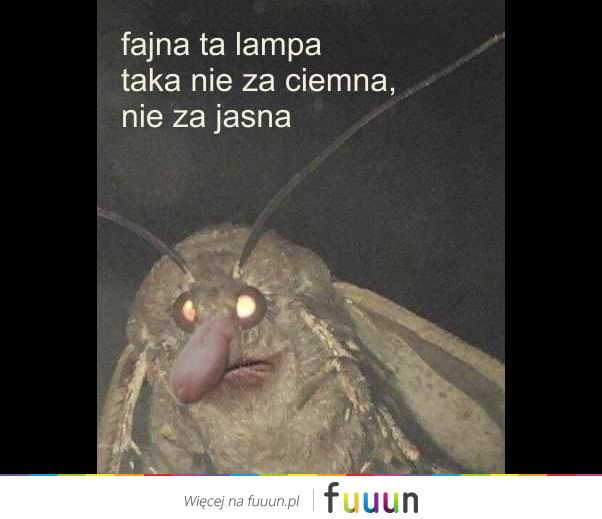 Ja Jebie #2412
