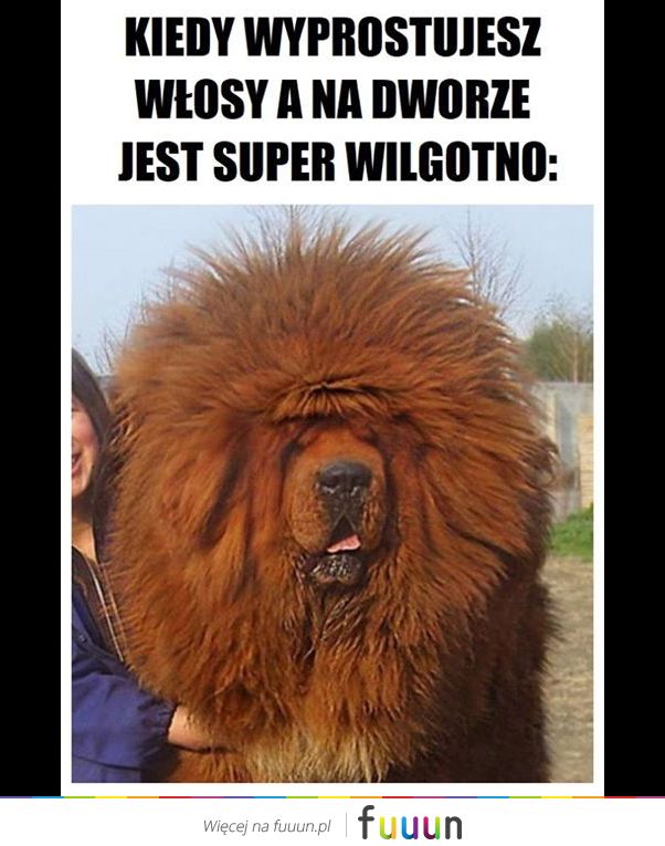 Suchar codzienny #534