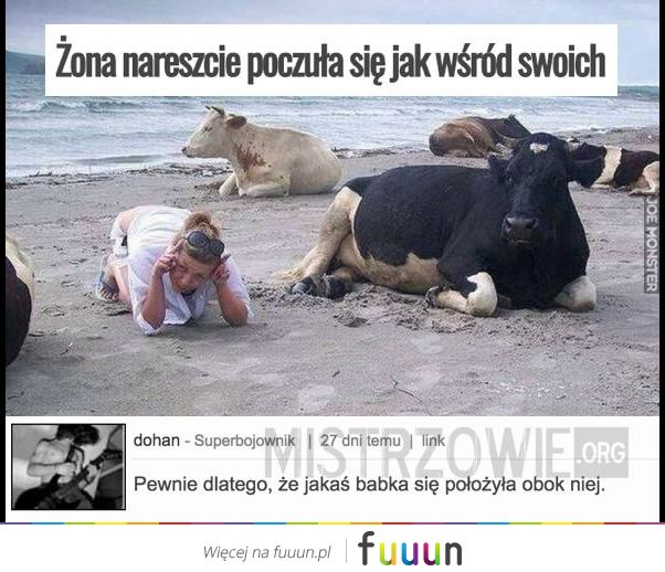 Mistrzowie #1594