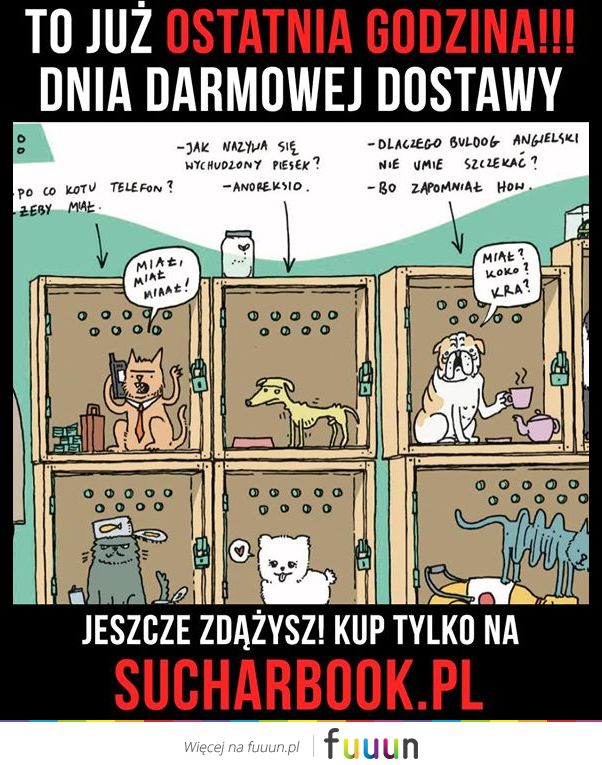 Suchar codzienny #667