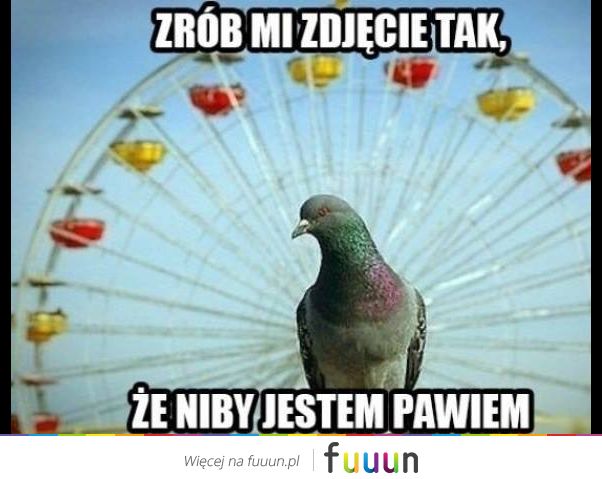 Ja Jebie #195