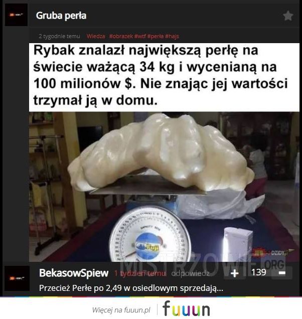 Mistrzowie #3946
