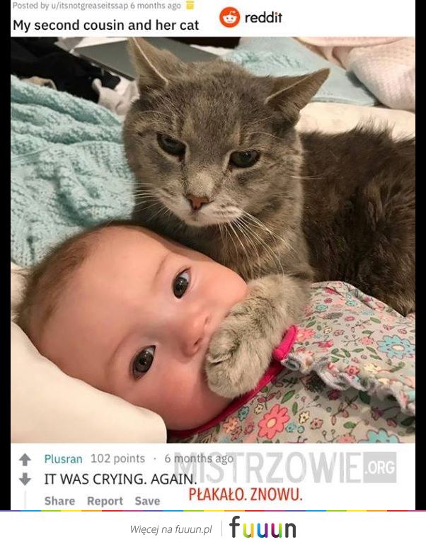 Mistrzowie #3964