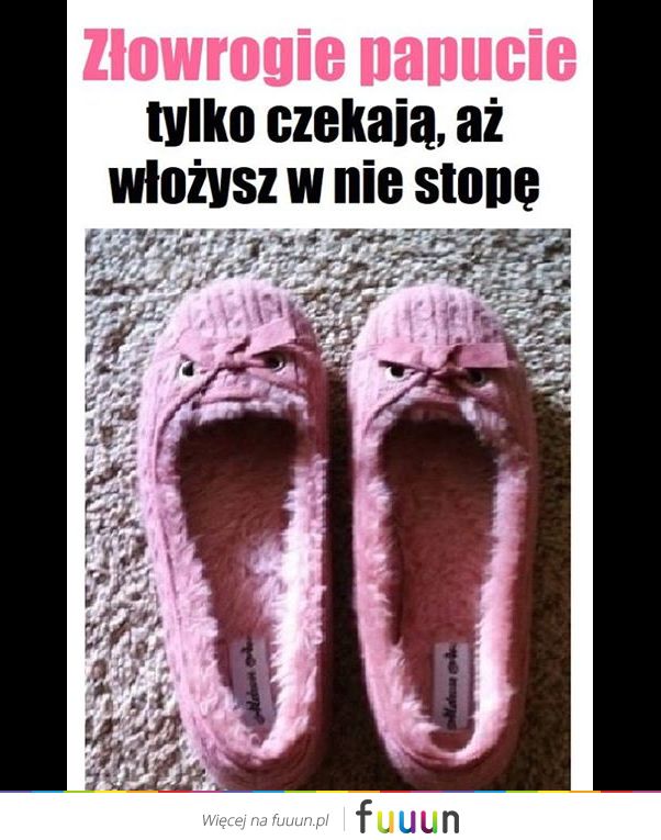 Suchar codzienny #463