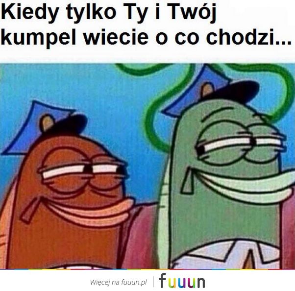 Suchar codzienny #88