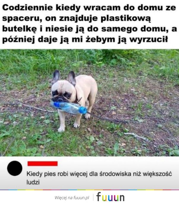 Suchar codzienny #1365