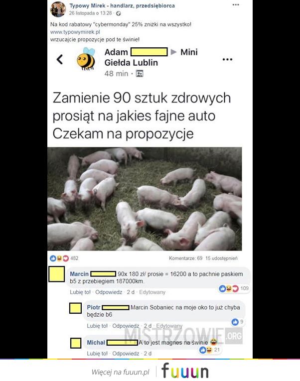 Mistrzowie #4212