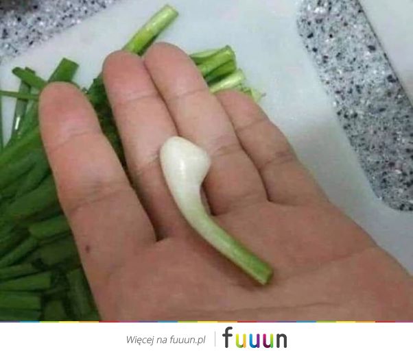 Suchar codzienny #1404