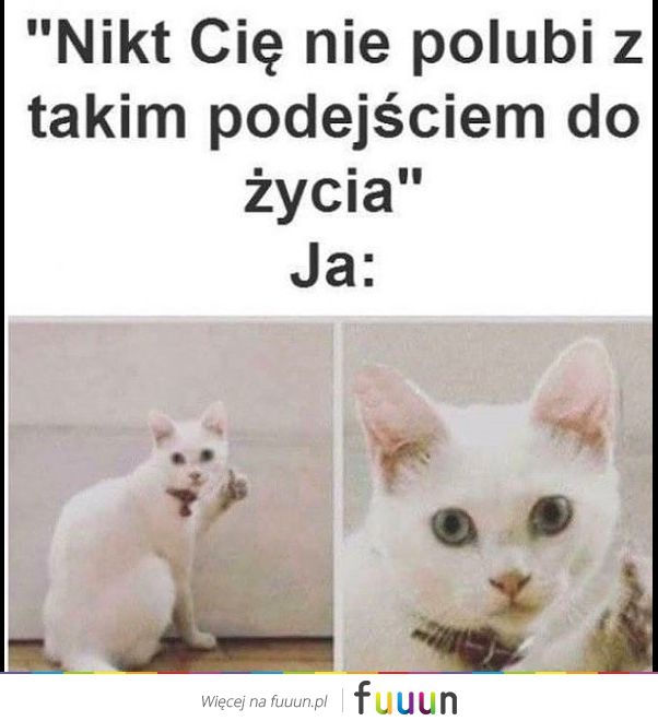 Suchar codzienny #1158