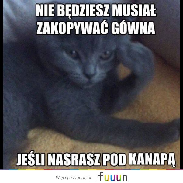Ja Jebie #1287