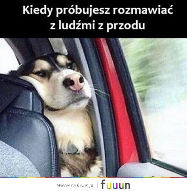 Suchar codzienny #1173