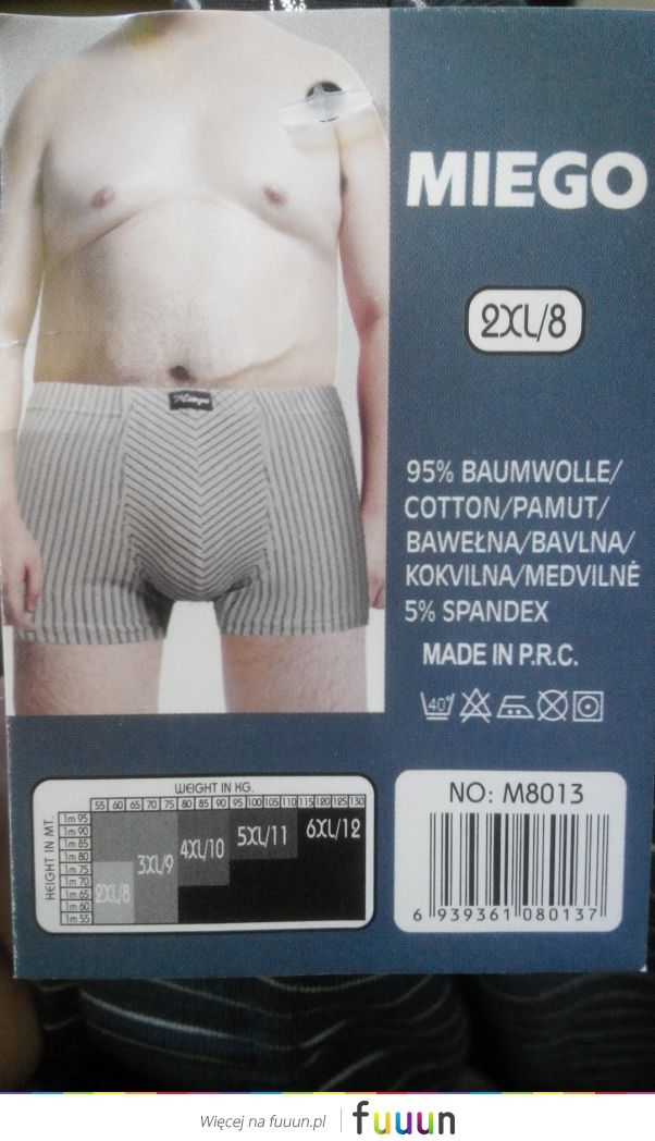 Jestę Modelę