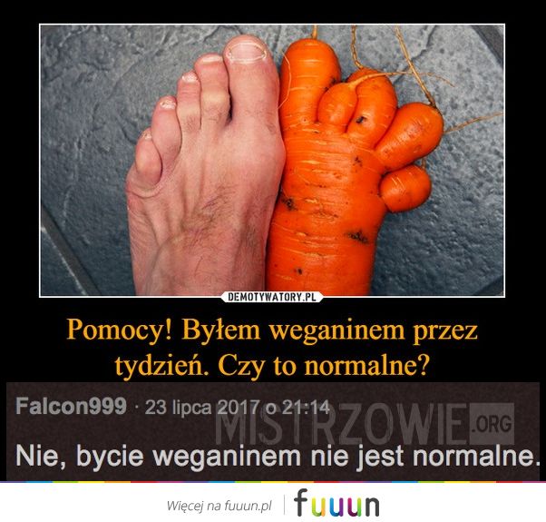 Mistrzowie #1503