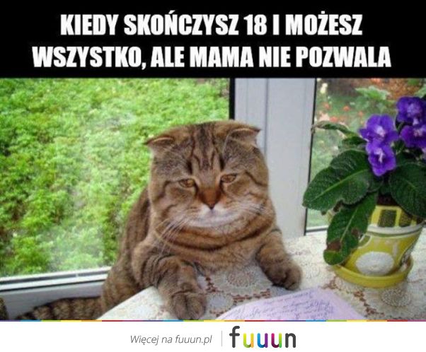 Suchar codzienny #1245