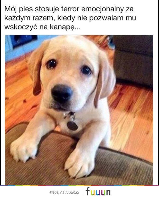 Suchar codzienny #402