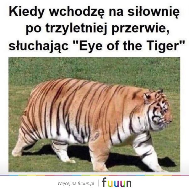 Suchar codzienny #1412