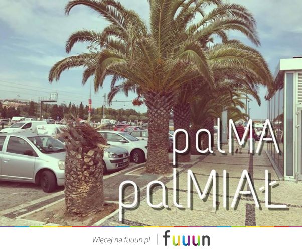 Pasjonaci Ubogiego Żartu #126