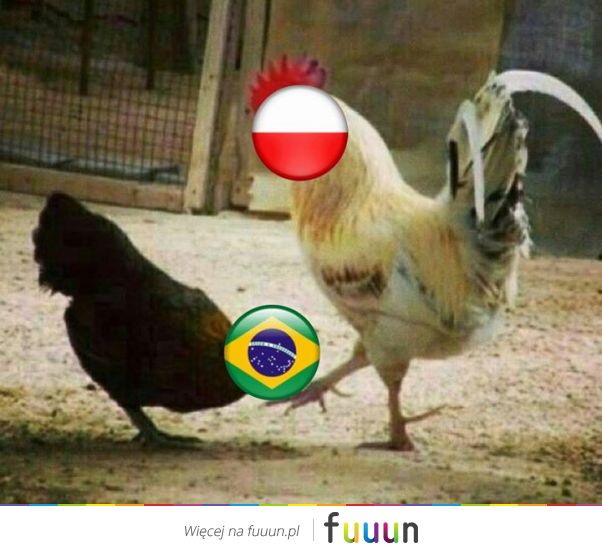 Suchar codzienny #562