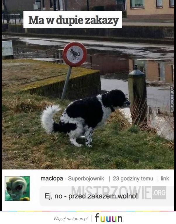 Mistrzowie #2734