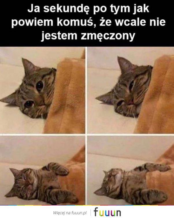 Suchar codzienny #978