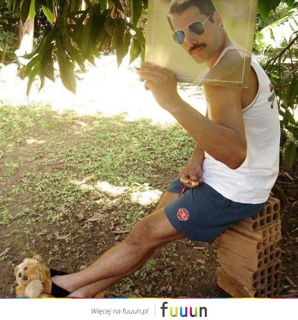 Suchar codzienny #1431