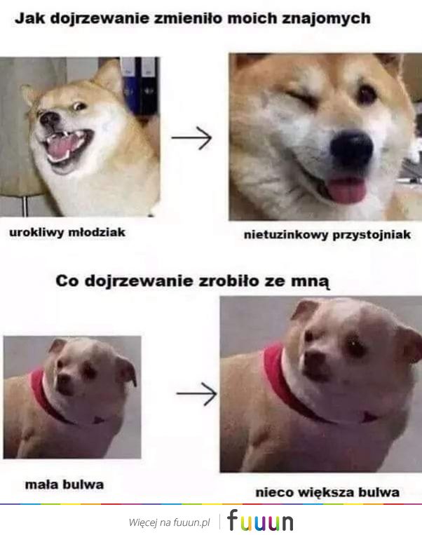 Suchar codzienny #1357