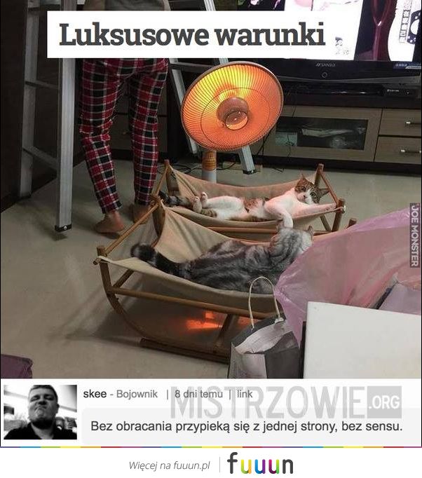 Mistrzowie #2602