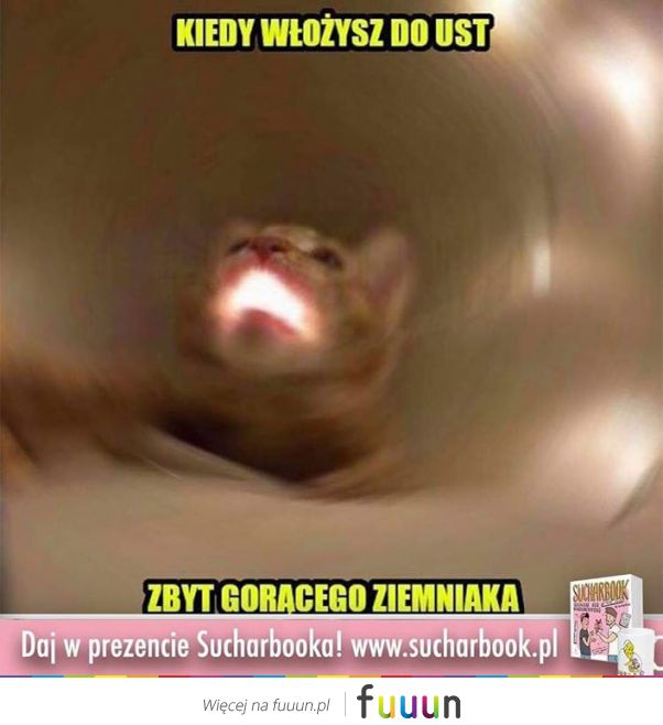 Suchar codzienny #597