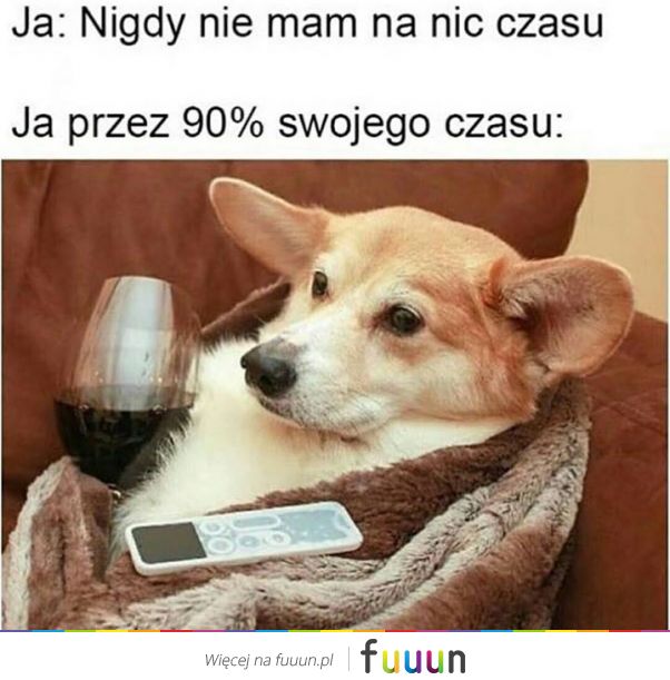 Suchar codzienny #451