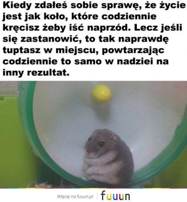 Suchar codzienny #1164