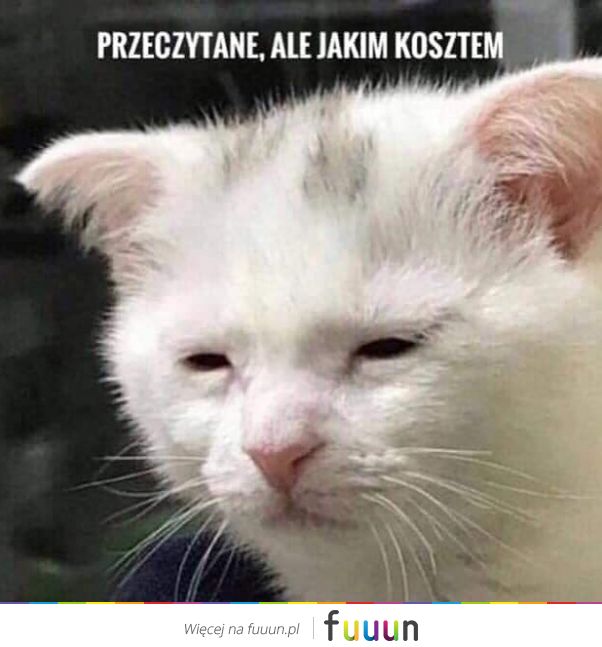 Suchar codzienny #1166