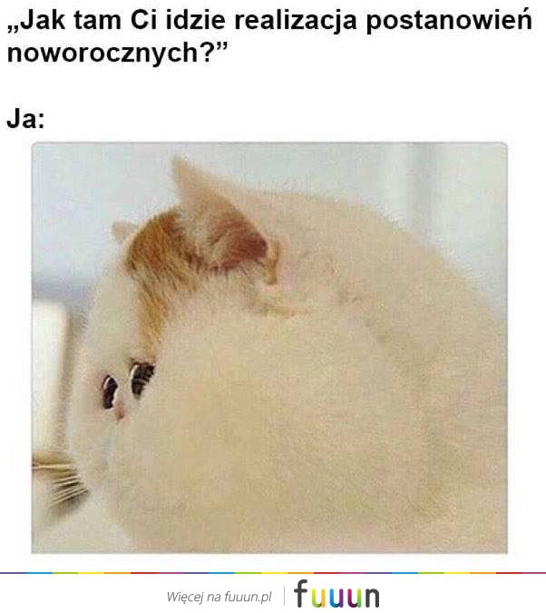 Suchar codzienny #407