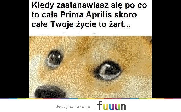 Suchar codzienny #1016