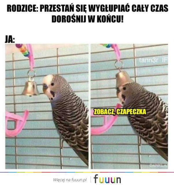 Ja Jebie #1793