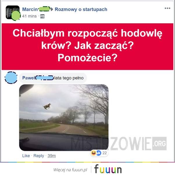 Mistrzowie #4923