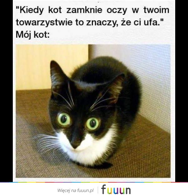 Ja Jebie #2420