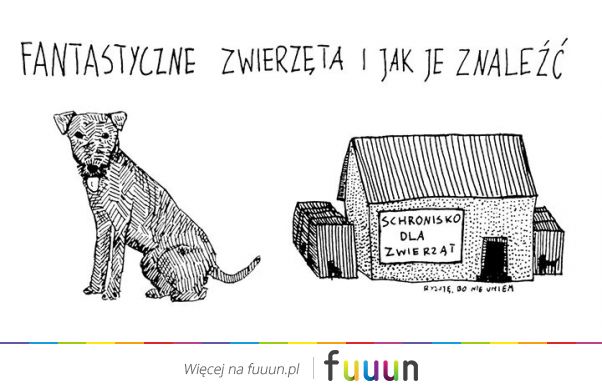 Suchar codzienny #620