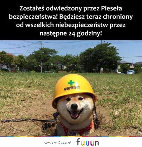 Suchar codzienny #999