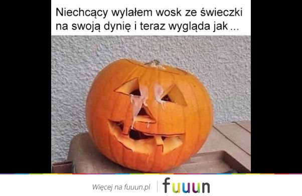 Ja Jebie #2435