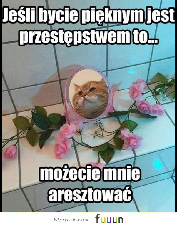 Suchar codzienny #1155