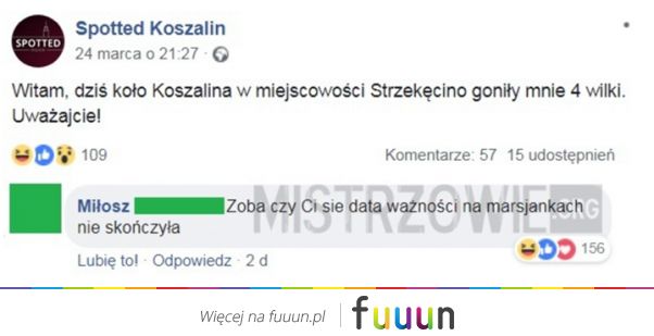 Mistrzowie #4863