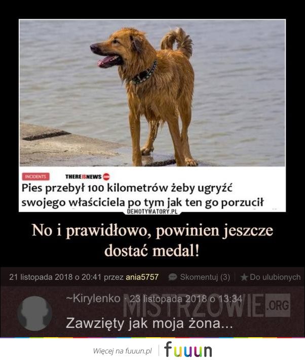 Mistrzowie #4194